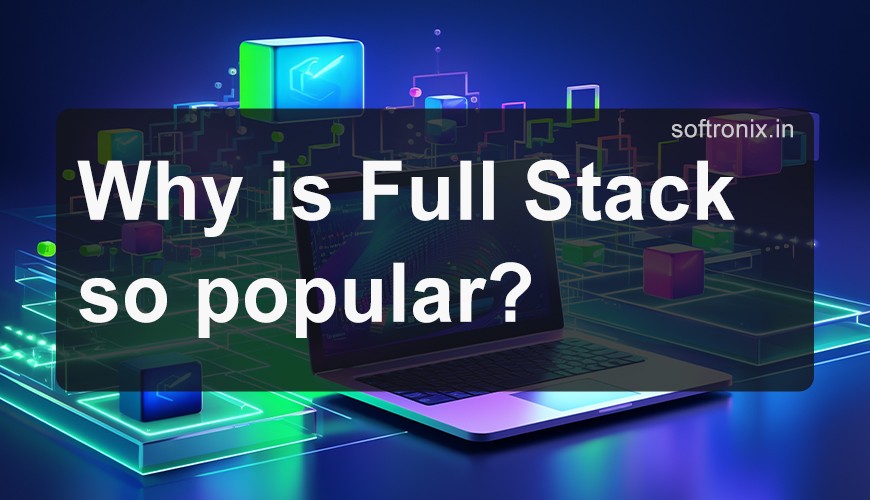 Full Stack's Popularity: Why Everyone's Crazy About It in 2024?