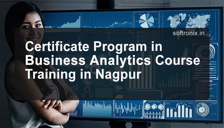 Certificate Program in Business Analytics Course Training in Nagpur
