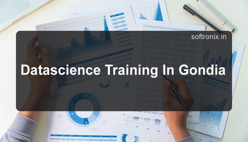Datascience Training In Gondia