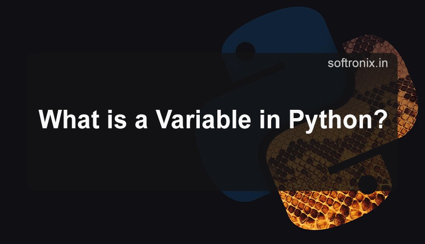 What is a Variable in Python?