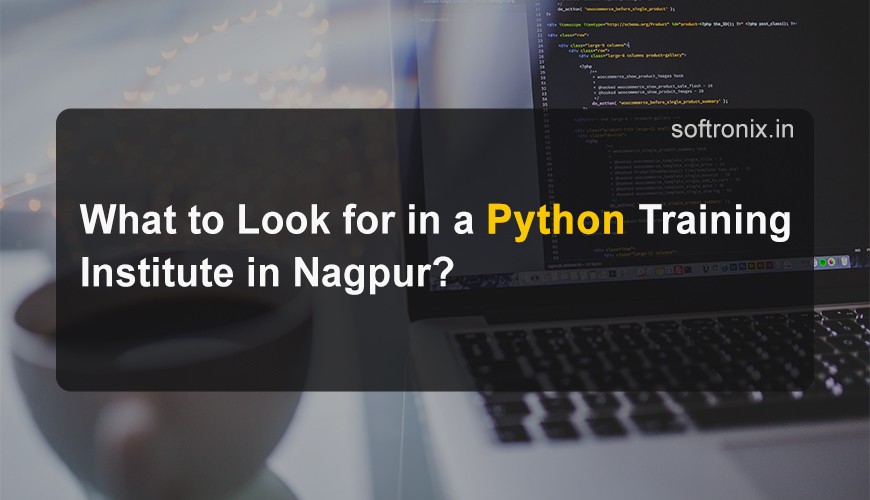 What to Look for in a Python Training Institute in Nagpur?