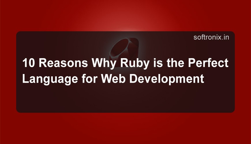 10 Reasons Why Ruby is the Perfect Language for Web Development
