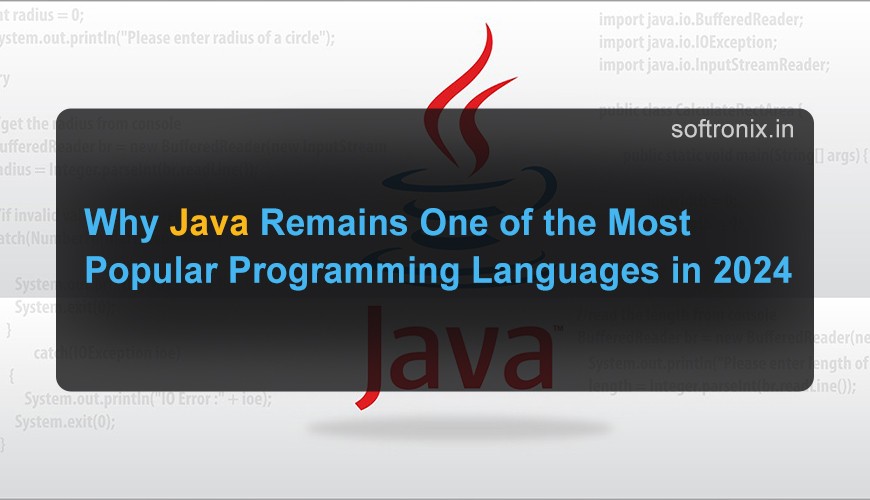 Why Java Remains One of the Most Popular Programming Languages in 2024