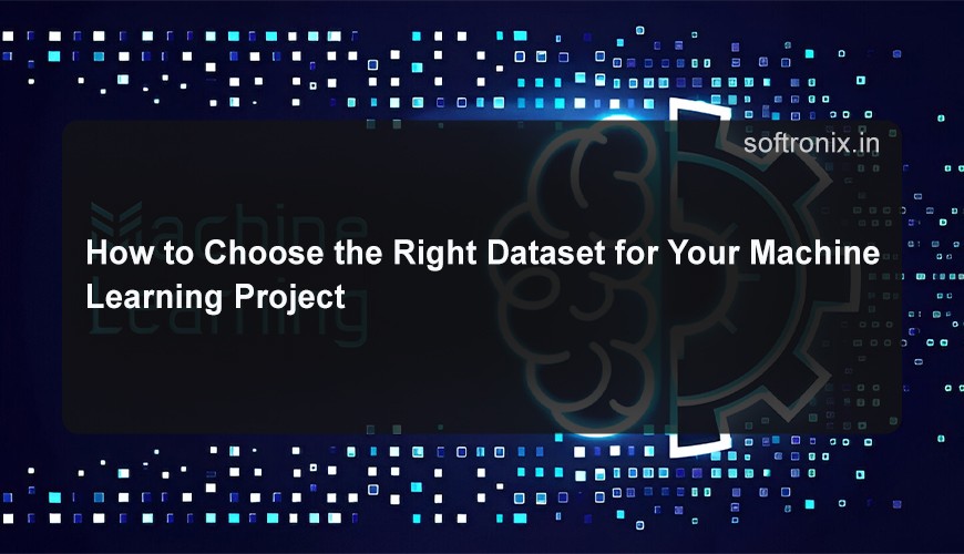 How to Choose the Right Dataset for Your Machine Learning Project